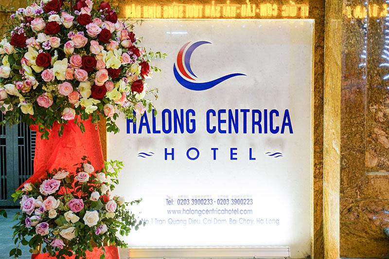 We are opening in April 2019!